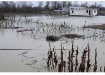 Përmbyten toka bujqësore në Fushë-Krujë/ Disa fshatra nën “pushtetin e ujit”