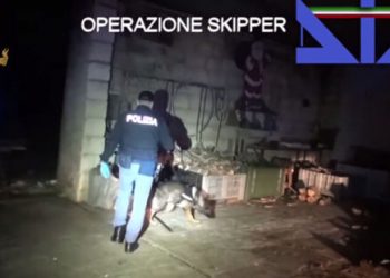 Organizata ndërkombëtare e kokainës, Amerika Latine-Holandë-Itali: Ja dy shqiptarët që ranë në “rrjetën” e hetuesve