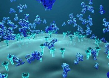 Ankthi nga Covid/ 46 mijë shqiptarë kërkuan ndihmën e psikiatërve