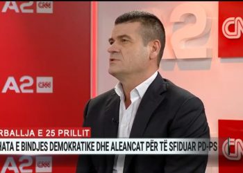 Bindja Demokratike dhe aleancat e saj, Patozi: Partitë e reja që pranojnë listat e hapura