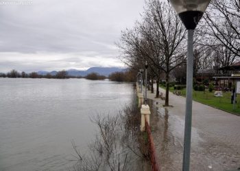 Ja si është situata në disa qarqe/ Buna del nga shtrati, përmbyten disa banesa në Shkodër, evakuohen 10 familje