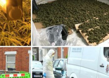 Punonin në një fermë kanabisi me vlerë 500.000 £, arrestohen 3 shqiptarë në Angli, emrat