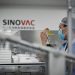 Kina miraton me kusht katër vaksina Covid-19 të zhvilluara në vend