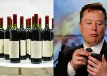 Eksperimenti: Elon Musk rikthen 12 shishet e verës nga hapësira që i kishte lënë 438 ditë