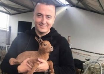 Dosja SPAK/ Skandalet e ish-zyrtarit me dhënien e tokave shtetërore me qira te ‘Bujqësia’, si u shmangën kontrollet dhe mbledhja e të ardhurave