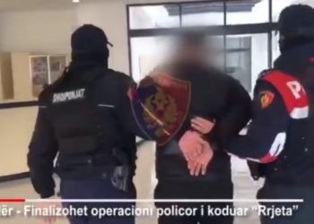 “Rrjeta” ve në pranga 4 trafikantë droge në Shkodër