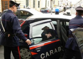 Biseda nga dritarja e banesës gropos shqiptarin/ Policia i zbulon kokainën e fshehur, ruhej nga Pitbulli