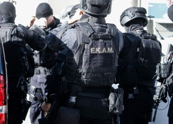 Shqiptarja e organizoi vrasjen e 25 vjeçarit për një qen, pranga autorëve