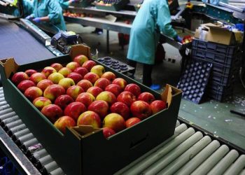 Produktet bujqësore shqiptare mund të eksportohen pa taksë doganore në BE deri në vitin 2025