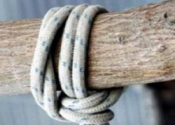 E rëndë në Kuçovë/ Vetëvaret në ullishten pas shtëpisë 69-vjeçari