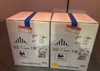 Rinas/ Vjen partia e parë e 22 mijë e 230 dozave ‘Pfizer’, Rama: T’i kthejmë Shqipërisë buzëqeshjen!
