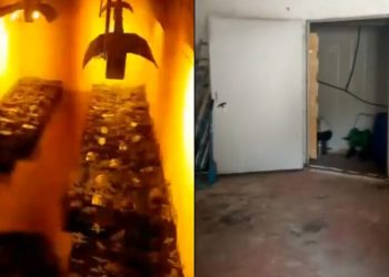 Hotel kurse në bodrum serë kanabisi/Pranga 30 vjeçarit shqiptar me 80 kg drogë