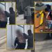 Të shtrirë në tokë me pranga në duar/ VIDEO si u kap ‘Dorian’ famëkeqi me grupin e tij të grabitësve. Vepronte në Greqi e disa vende të BE