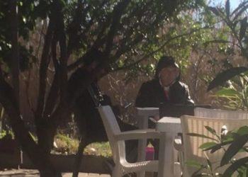 Axhenda ditore e presidentit tregon gjithçka