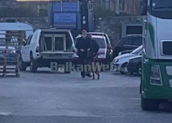FOTO/ Pas 140 kg kokainë, qentë anti-drogë në kompaninë ‘Masabi Fruits’ në Kombinat
