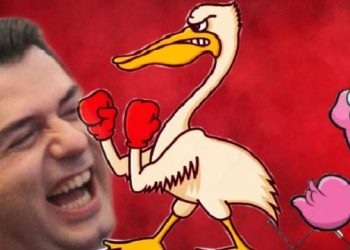 Deklarata shokuese e Lulzim Bashës për Moratoriumin e gjuetisë dhe kjo video e frikshme e 2009 na kujton!