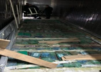 Cilët janë administratorët e ‘’Masabi Fruits’’, firma në Kombinat ku do të zbarkonte konteineri me 200 kg kokainë?! (EMRAT)