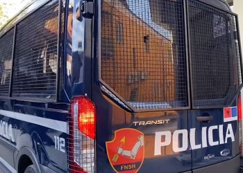 Zbardhet “lufta” në Mamurras, Policia: Efektivi plagosi dy kolegët dhe qytetarin