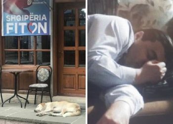 ‘Gjumi është ngjitës’/ Rama publikon foton e veçantë: Gjumi i një qenushi para zyrës elektorale të PD