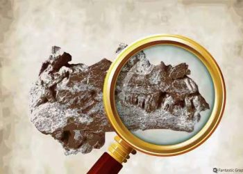 Zbulohet fosili i një dinozauri rreth 200 milionë vjeçar