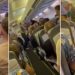 “Plas” grushti mes shqiptarëve në avion, shokohen pasagjerët