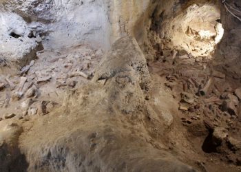 Datojnë rreth 100 mijë vite më parë… Arkeologët zbulojnë 9 eshtra të tjera të kohës së Neandertalit