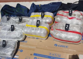 Policia në Maqedoni sekuestron 65 kg marijuanë me vlerë 200 mijë euro/ Tre shqiptarë në pranga