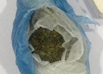 Kapshticë/ Me qesen me kanabis, pranga në kufi 21-vjeçarit (Emri)