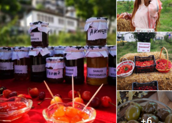 Braçe: Fundjava, nga Berati në Myzeqe ku shalqini ynë mund çdo ‘kokëkungull’