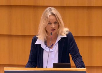 Raportuesja për Kosovën në PE: Dokumentet ‘non-papers’ për ndryshim kufijsh në Ballkan janë hartuar në Moskë