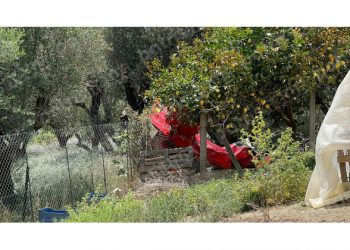 Rrëzimi i avionit privat në Greqi, dëshmitari okular: Viktimat po digjeshin të gjalla, e pamundur të dilnin