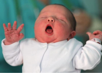 “Mbi 88 mijë familje përfituan bonusin e bebes”/ Rama: Në 5 muajt e parë të vitit janë bërë 15 837 lindje