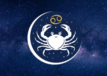 Tre arsye pse duhet të keni një Gaforre në rrethin tuaj shoqëror