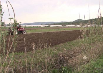 Ishte duke vaditur tokën, vdes 61-vjeçari në Divjakë