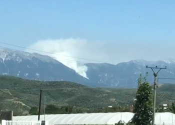Pas 8 orësh/ Ende aktiv zjarri në Malin e Tomorrit, rrezik për Parkun Kombëtar