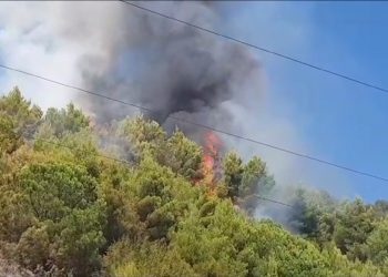Kërcënimi nga temperaturat e larta, IGJEUM: Rrezik i lartë zjarresh në Fier dhe Berat