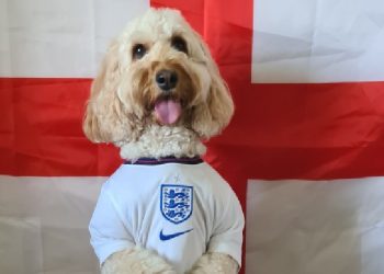 EURO 2020/ Anglia apo Danimarka? Ja kush do të jetë rivalja e Italisë sipas qenit të ‘famshëm’