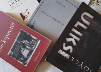 Armiku i popullit, pa emër, Idlir Azizaj
