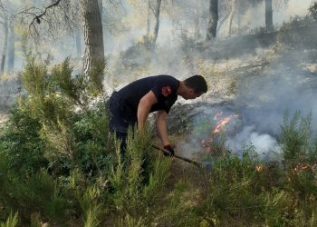 FOTOT/ Përfshihet nga zjarri pylli i Gjorgozit në Patos, rrezikohet edhe Cakrani