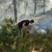 FOTOT/ Përfshihet nga zjarri pylli i Gjorgozit në Patos, rrezikohet edhe Cakrani