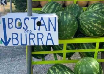 Reklama “provokuese”/ Shitësi nxjerr shalqi në anë të rrugës, shkruan: Bostan për burra! Komisioneri kundër Diskriminimit: Ka shkelur ligjin