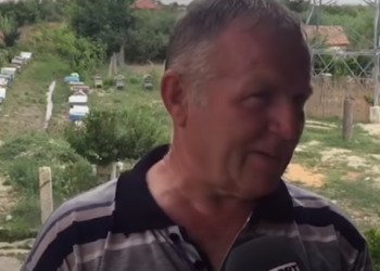 Myzeqari lë bujqësinë për bletët: Fitoj më shumë! Kosherja si staf qeverie, urdhrin e jep mbretëresha