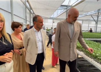 VIDEO/ Rama me Soreca-n vizitojnë fidanishten në Roskovec: Pronari u kthye nga emigrimi dhe përfitoi mbështetje