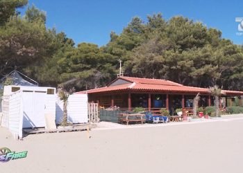 Investigimi/ “Lufta e shezllongëve” kap dhe Zvërnecin, një pronar për detin, rërën dhe pyllin