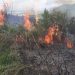 Situata e zjarreve/Punonjësi i pyjores së Patosit rrezikon jetën mes flakëve në pyllin e Gjorgosit