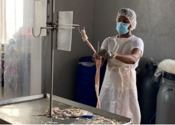 Bizneset marrin punëtorë nga Bangladeshi, mungon krahu i punës në Shqipëri