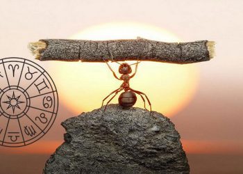 E nisët ditën? Zbuloni shenjat më me fat të horoskopit që yjet do i favorizojnë sot