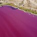 FOTO/ Laguna bëhet rozë për shkak të ndotjes nga kimikatet