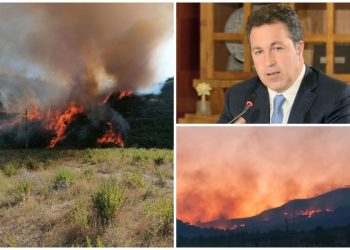 Situata e zjarreve/ Peleshi: Kemi 8 vatra aktive, më kritike paraqiten Fieri, Karaburuni, Shijaku e Përmeti! Ja thirrja për qytetarët