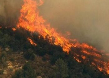 Zjarr në Vermosh/ Flakët ‘zaptojnë’ sipërfaqen pyjore. Era dhe temperaturat e larta përkeqësojnë situatën